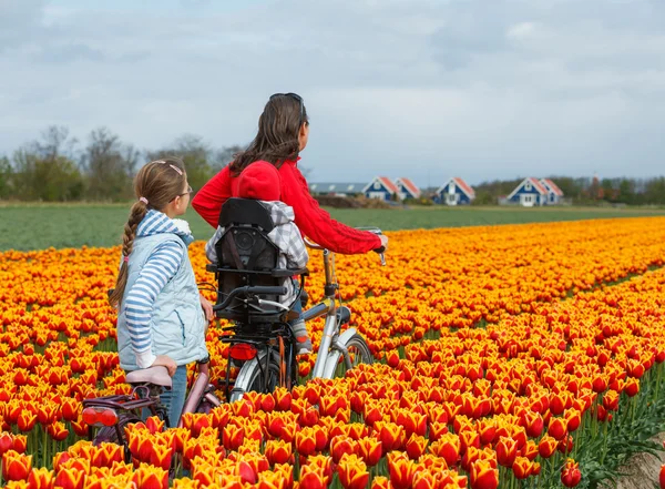 Família em bicicletas em campos de flores de primavera — Fotografia de Stock