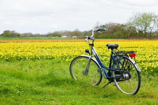 Bicicleta laranja da Holanda em ... — Fotografia de Stock