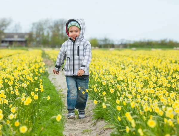 Un bambino che gioca nei narcisi — Foto Stock