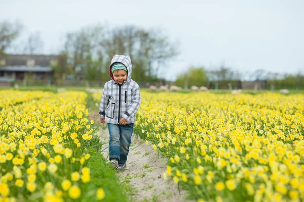 Ένα μικρό αγόρι που παίζει στο daffodils — Φωτογραφία Αρχείου