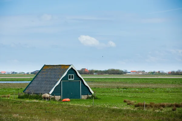 Old farm at the island of texel — Stock Photo, Image