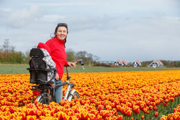 Family on bikes in spring flower fields — Stock Photo, Image