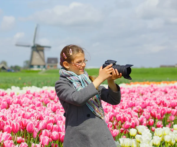 Фотограф тюльпанов — стоковое фото