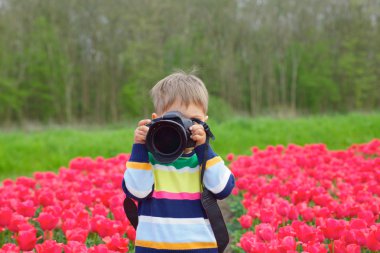 Lale fotoğrafçı