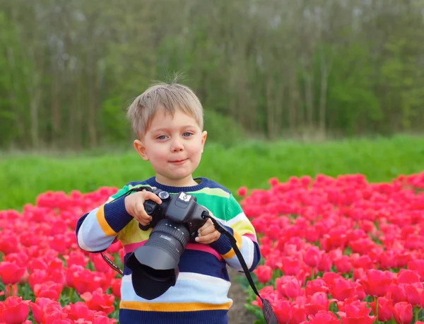 Fotógrafo tulipa — Fotografia de Stock