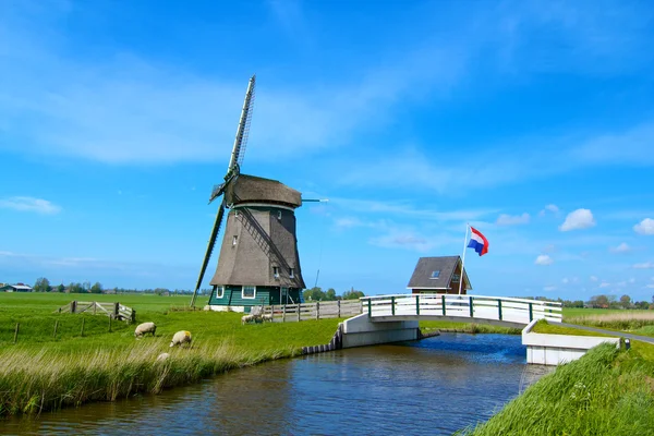 Holanda Molino de viento — Foto de Stock