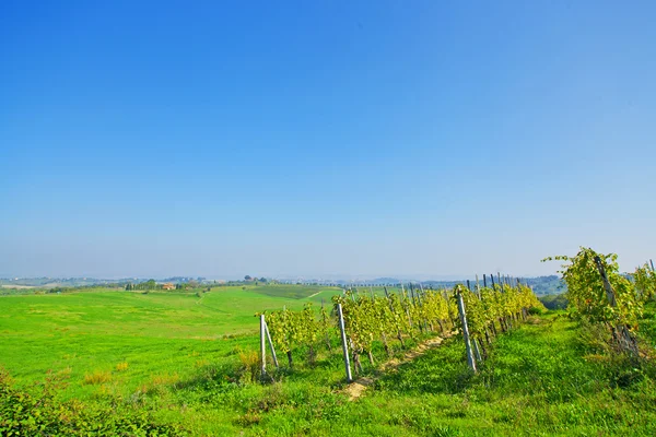 Green tuscany landscape — Stock Photo, Image