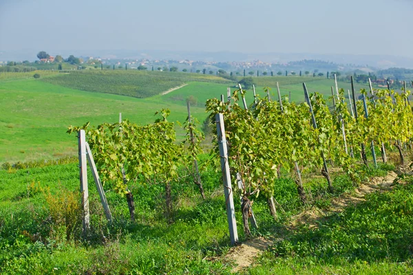 Zelená krajina Toskánska — Stock fotografie