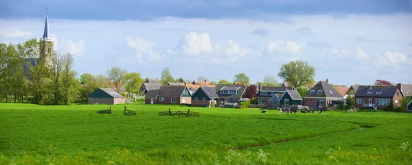 Tipik Hollanda manzara — Stok fotoğraf