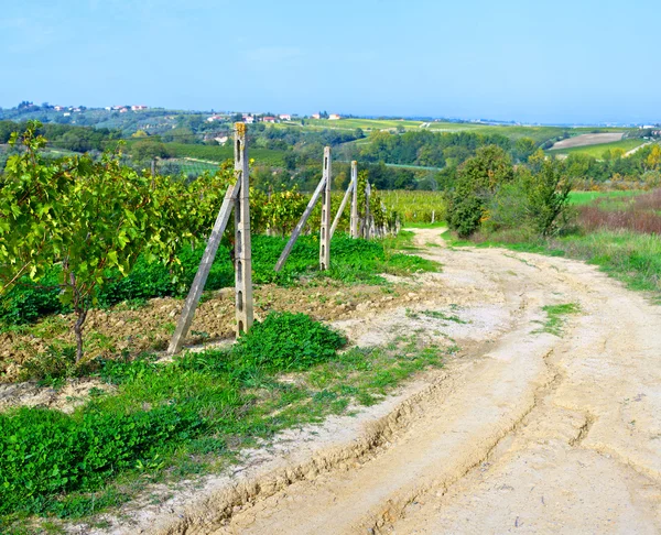 Carretera de campo en Toscana — Foto de Stock