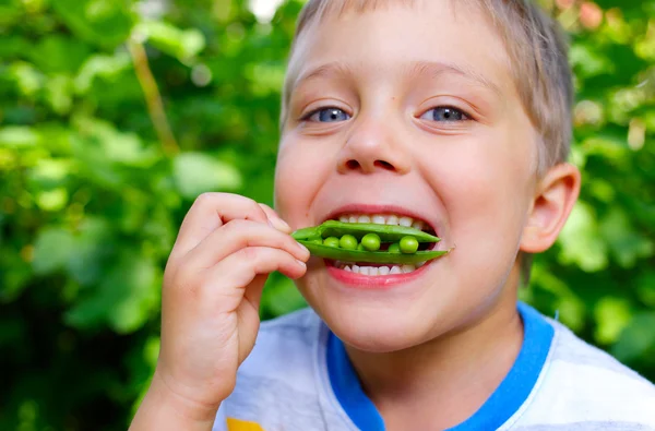 Close-up portrait of handsome little boy eating green Peas in garden — Stock Photo, Image