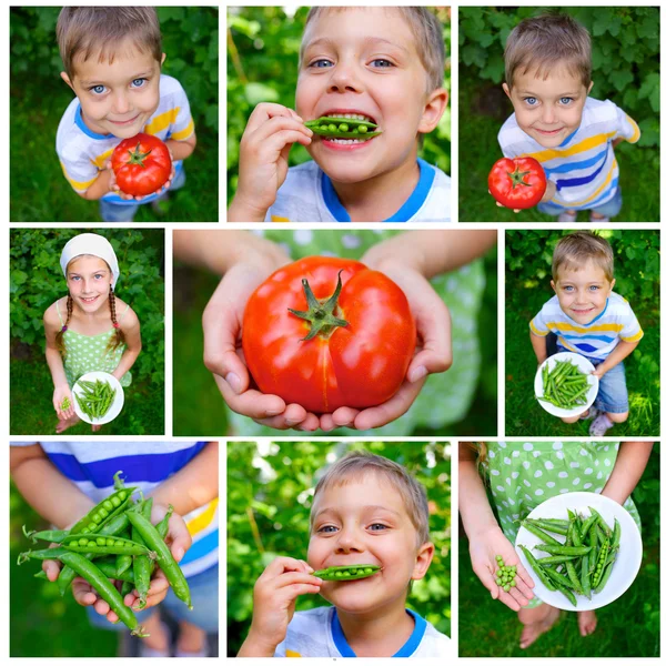 Collage of images kids holding tomato and green peas in garden — Stock Photo, Image