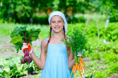 Sebze Bahçe - Organik havuç ve pancar grup ile küçük bahçıvan