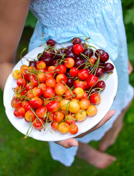 Girl eating cherries — Stock Photo, Image