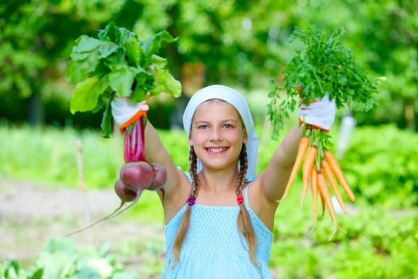 Groentetuin - weinig tuinman met bos van bio-wortelen en bieten — Stockfoto