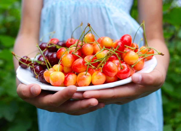 Girl eating cherries — Stock Photo, Image