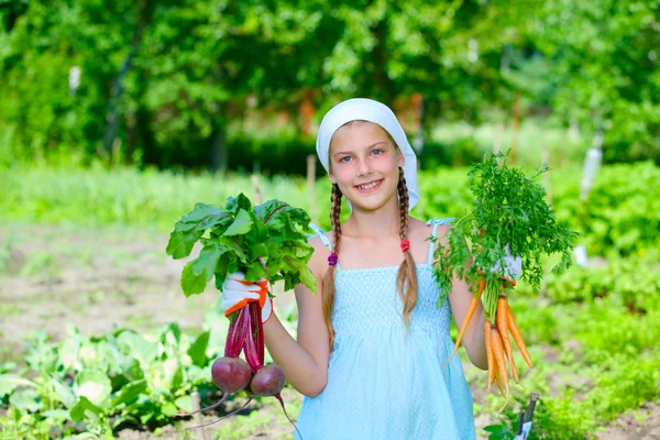 Groentetuin - weinig tuinman met bos van bio-wortelen en bieten — Stockfoto
