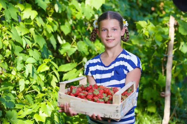 Όμορφη χαμογελαστό κορίτσι που κρατά ένα κουτί φράουλες στον κήπο — Φωτογραφία Αρχείου
