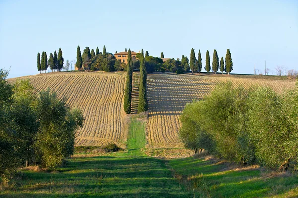 Landschap in Toscane. — Stockfoto