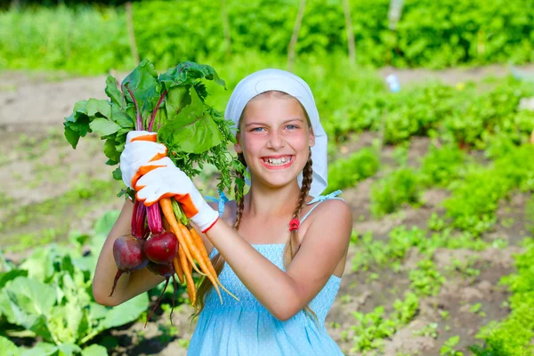 Groentetuin - weinig tuinman met bos van bio-wortelen en bieten — Stockfoto