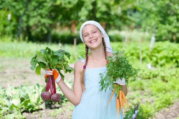 Groentetuin - weinig tuinman met bos van bio-wortelen en bieten — Stockfoto