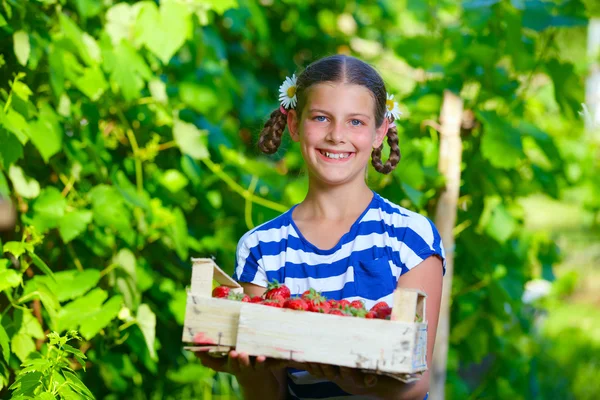 Krásná usměvavá dívka drží krabičku jahod v zahradě — Stock fotografie