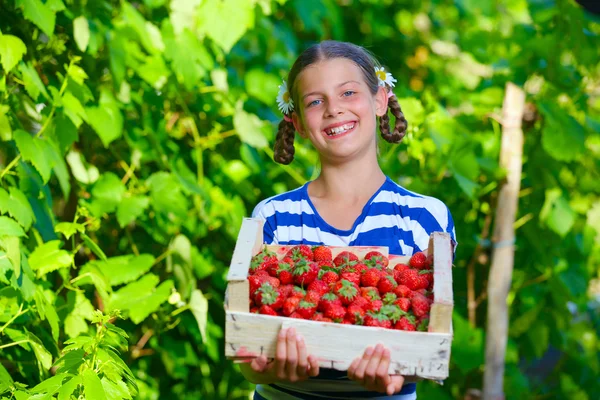 Krásná usměvavá dívka drží krabičku jahod v zahradě — Stock fotografie