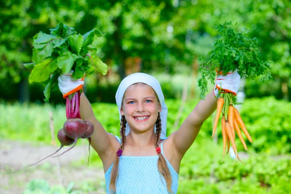 Овочевий сад - маленький садівник з купою органічної моркви і буряка — стокове фото