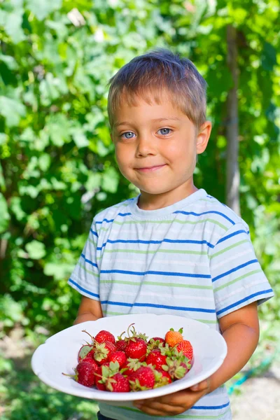 Cute boy holding plate with organic natural healthy food produce - strawberries. Vertical view — Stock Photo, Image