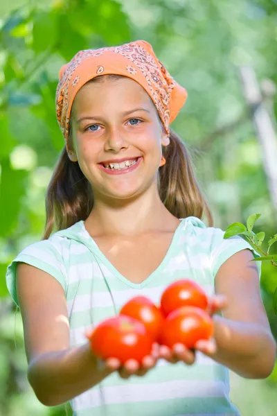 Portrait of beautiful girl holding tomatoes in green garden — Stock Photo, Image