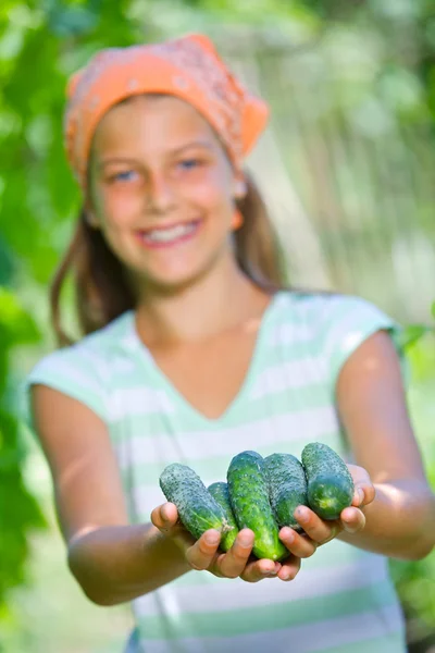 Retrato de menina bonita segurando pepinos no jardim verde. Concentre-se nos pepinos . — Fotografia de Stock