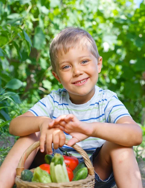 Vegetable garden - portrait of little gardener boy with a basket of organic zucchini and tomatoes — Stock Photo, Image