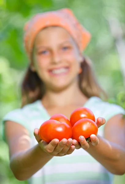 Portrait of beautiful girl holding tomatoes in green garden. Focus on the tomatoes. Stock Picture