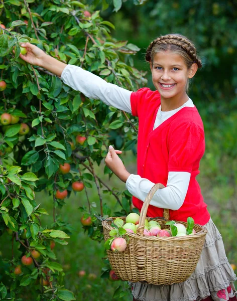 Roztomilá dívka v jabloňový sad — Stock fotografie