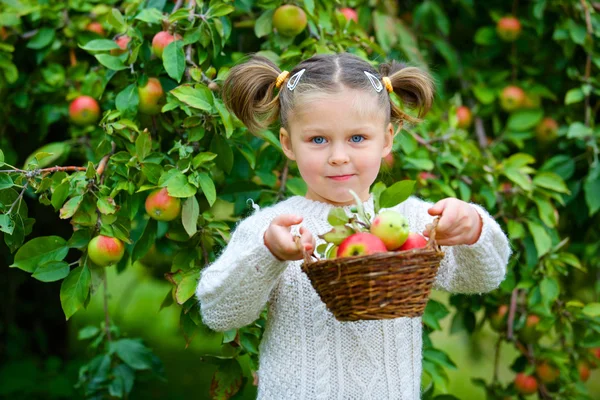 Милая девушка в яблоневом саду — стоковое фото
