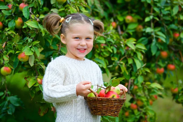 Roztomilá dívka v jabloňový sad — Stock fotografie