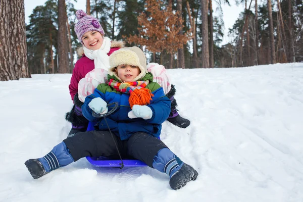 Children on sleds in snow — Stock Photo, Image