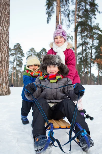 Children on sleds in snow — Stock Photo, Image