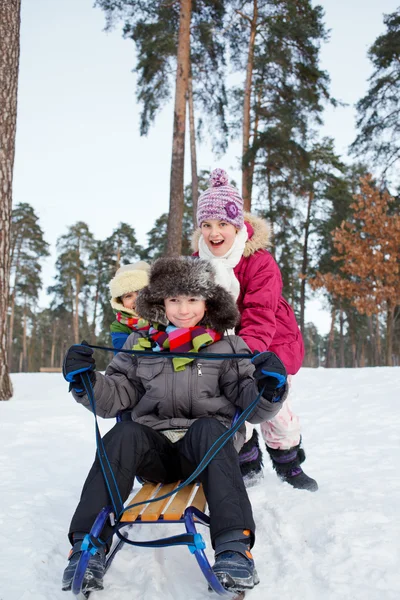 Children on sleds in snow — Stock Photo, Image