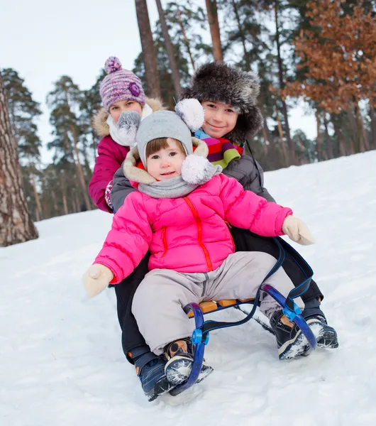 Niños en trineos en la nieve — Foto de Stock