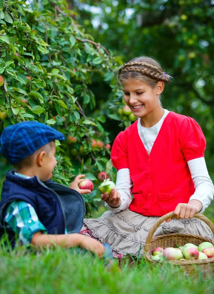 Schattige jongen in het apple orchard — Stockfoto
