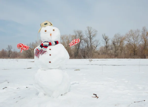 Echter großer Schneemann blauer Himmel. — Stockfoto