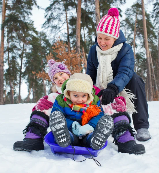 Roliga familjen pulka i vinterlandskap — Stockfoto