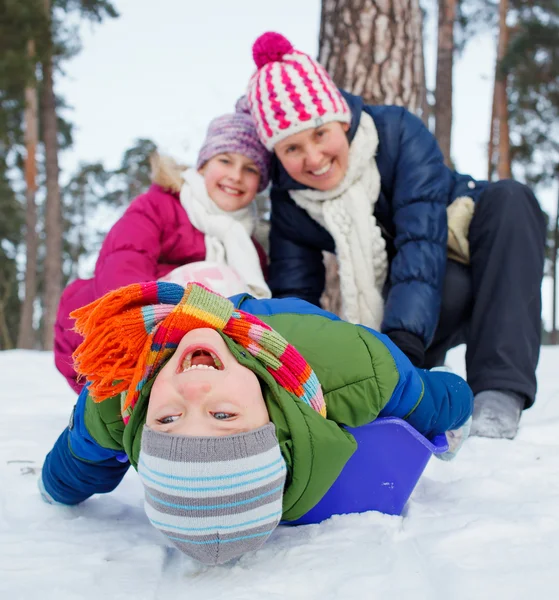 Funny family is sledging in winter-landscape — Stock Photo, Image