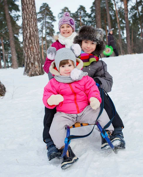 Children on sleds in snow — Stock Photo, Image