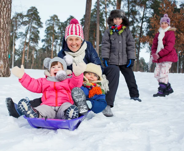 Grappig familie is sleeën in winter-landschap — Stockfoto