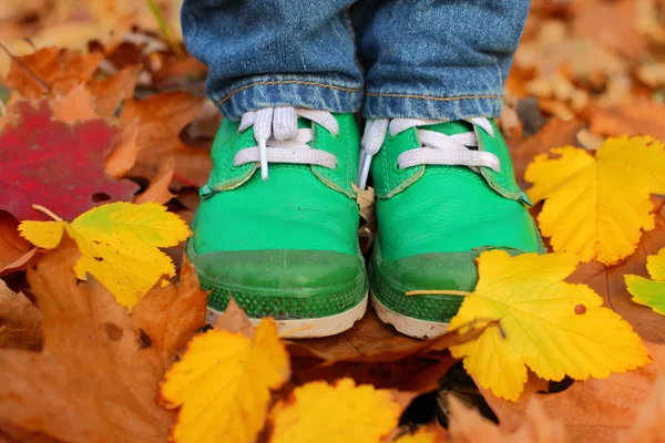 Stiefel und Blätter — Stockfoto