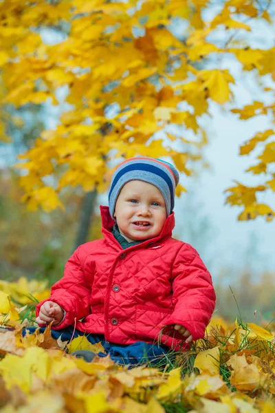Petit garçon dans le parc d'automne — Photo