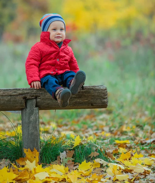 Őszi park baby boy — Stock Fotó