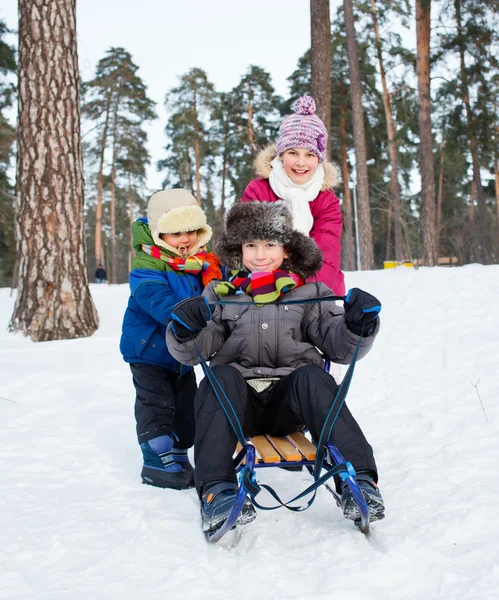 Barn på slädar i snö — Stockfoto